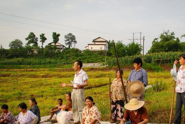 开局七农民，探索乡村发展的无限可能