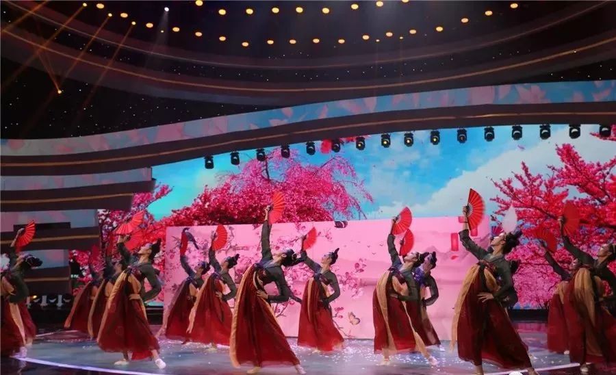 CCTV1节目，展现中国文化的魅力与活力
