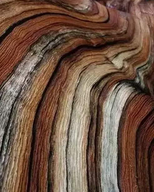 木纹石头图片欣赏——自然之美的独特融合