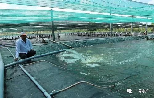 江苏南通养虾大棚，现代水产养殖的新模式