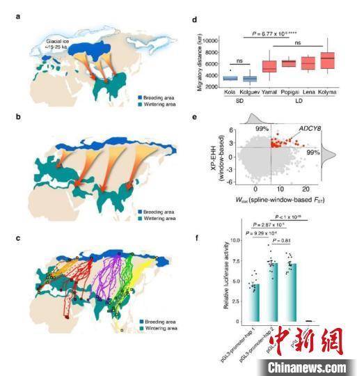 地图与测量，探索空间的关键要素