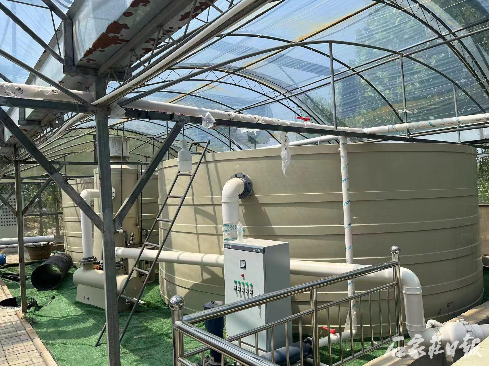 大棚养鲈鱼，一种创新的养殖模式