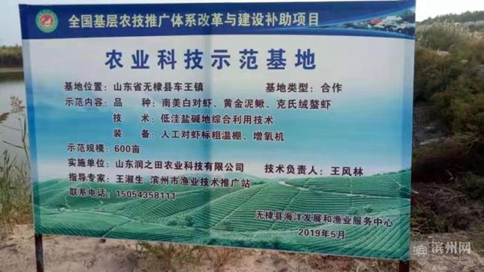 大棚虾养殖投资成本与效益分析