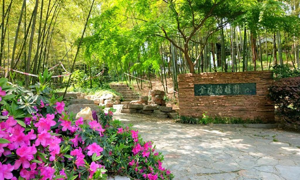 古木纹路，自然之美与艺术之魂的融合