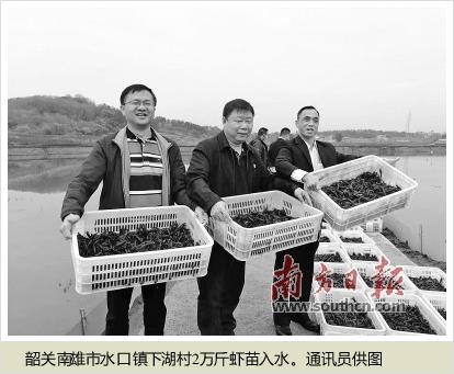 大棚虾苗标粗池建造图及其相关技术与影响