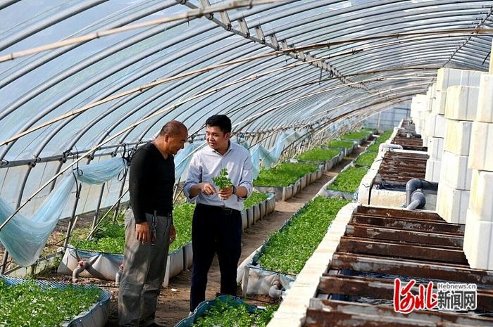广州大棚养虾，现代养殖技术的崭新篇章