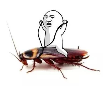网页制作 第70页