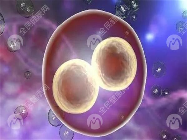 2025年6月6日 第5页