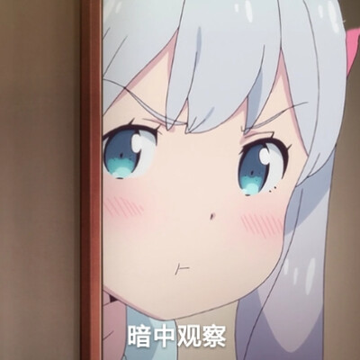 2025年6月12日 第5页