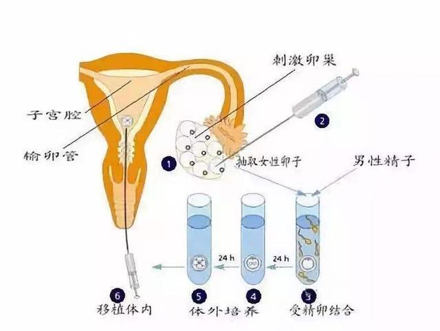 2025年6月13日 第6页
